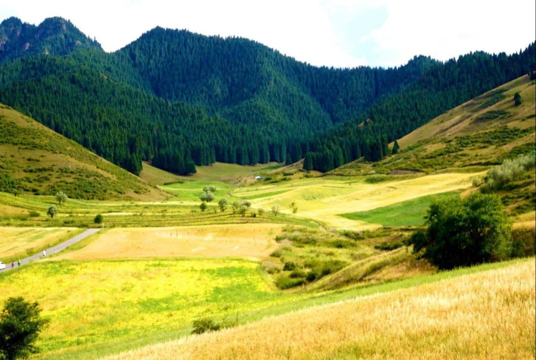 春节吉木萨尔周边游,6月份吉木萨尔周边一日自驾游