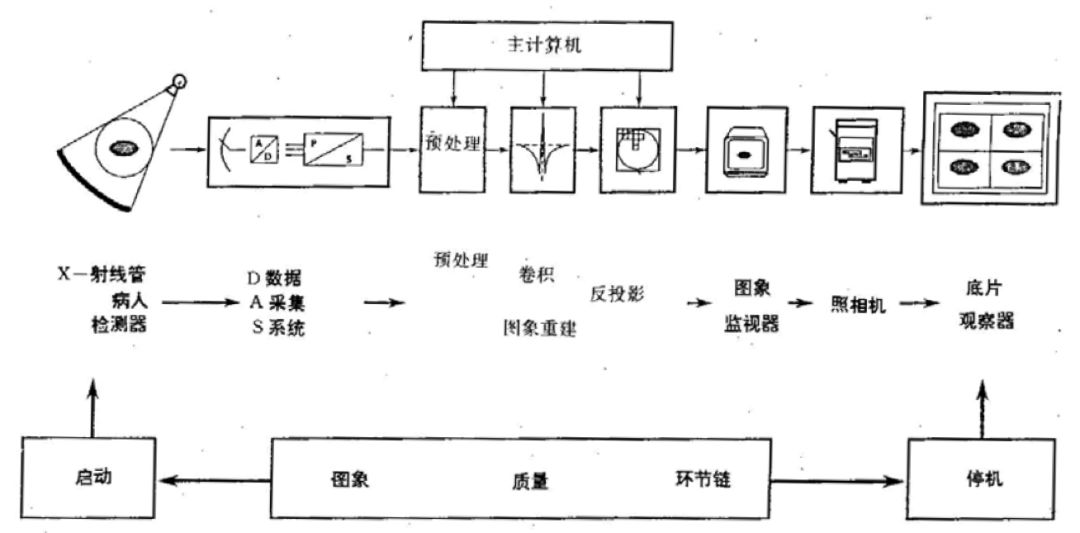 ct图像解析大全,ct图像与实物大小对比