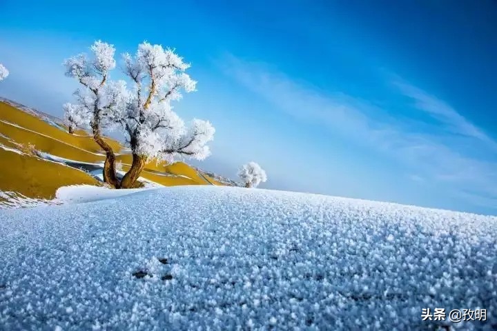 模塑科技今天是洗盘吗,模塑科技跌9.95%