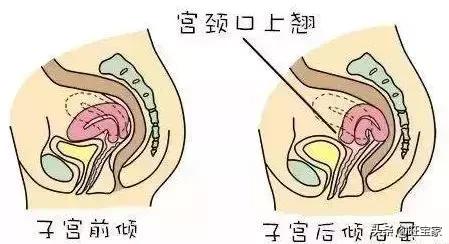 怀孕没那么神秘,所以这么多人才着迷
