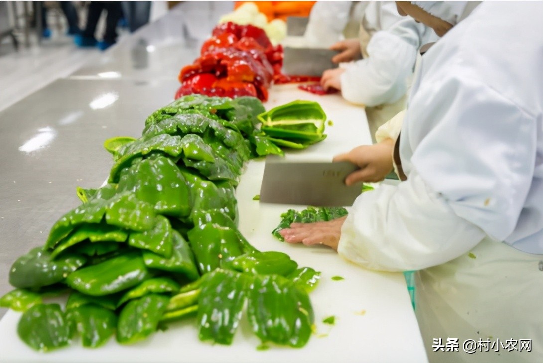 29个适合农村致富的小本创业项目,农村创业干什么致富最快