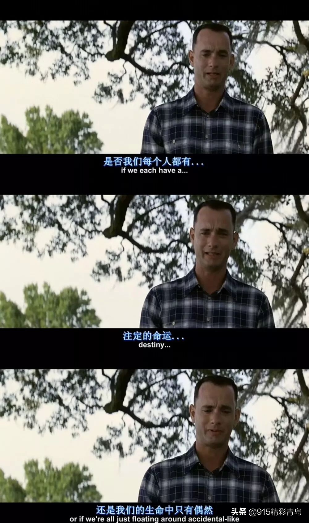 盘点历届奥斯卡最佳动画短片,盘点每届奥斯卡的最佳影片