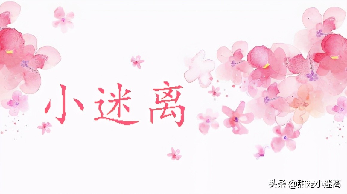 小迷离苏州,小迷离潮品