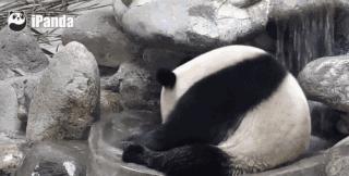 游泳池是夏季避暑的好地方,夏天去游泳馆避暑