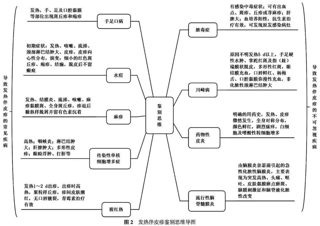 全科医学临床诊疗思维研究——小儿发热伴皮疹