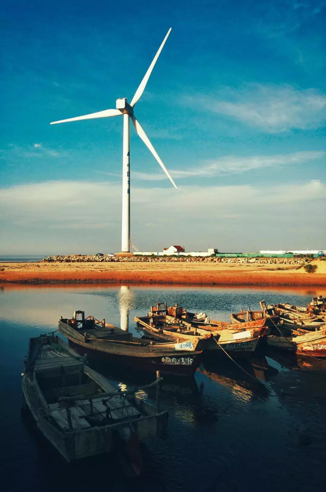 北方冬季适合吃的海鲜,北方冬天适合去的海滨小城