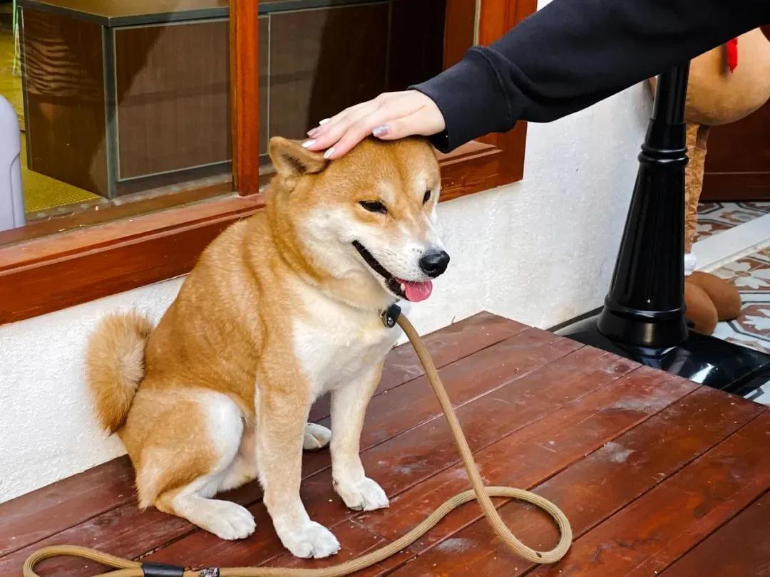 为了这份广州刨冰地图，我跑得只比苏神慢了亿点点