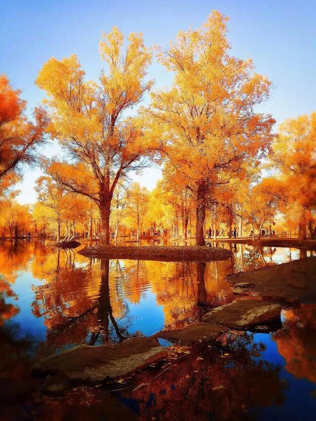 不爱学习的学生怎么引导,为什么差生不爱学习