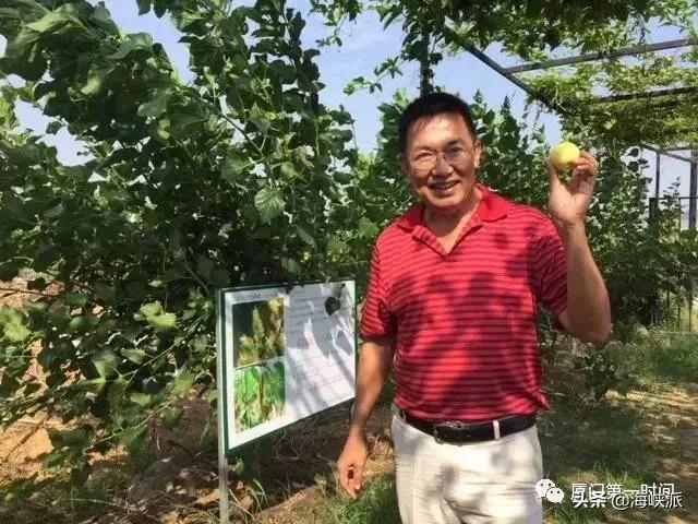 福建人喜欢吃芭乐,福建人喜欢吃芭乐吗为什么