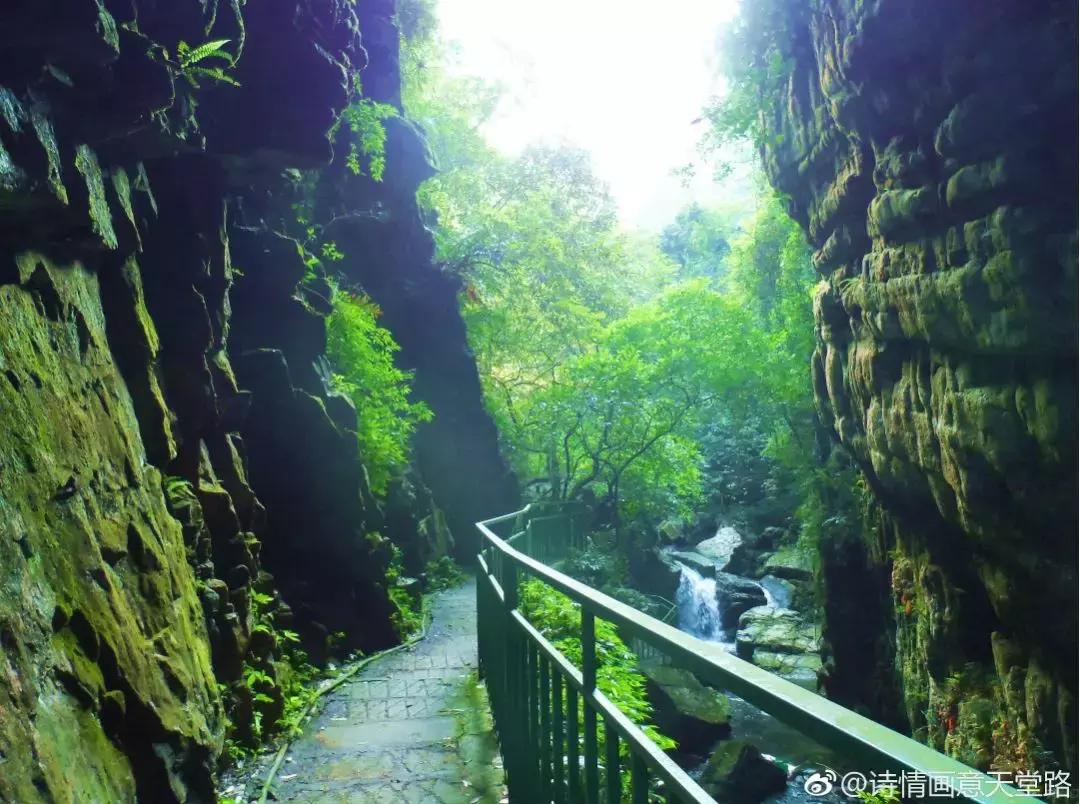 成都坐动车直达这片原始秘境!深幽峡谷、云海奇观、罕见古村…带你逃离夏天!