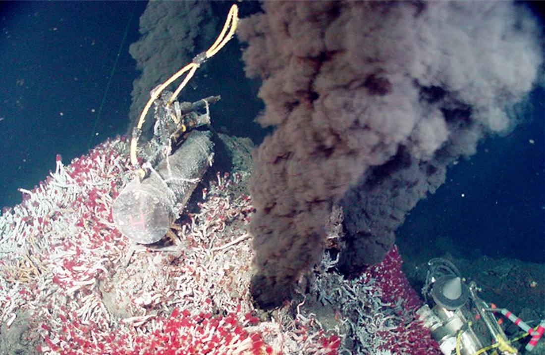 木卫二海里发现章鱼,木卫二的巨型章鱼长什么样子