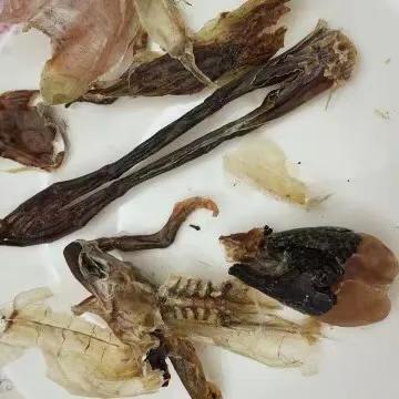 椰汁炖雪蛤，一道寓意美好又可滋补养生的可口甜品