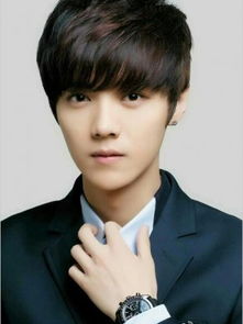 鹿晗娱乐圈热度数据,流量男明星都有哪几位