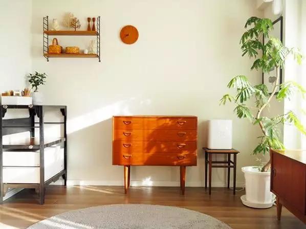 日本主妇一个月20万零花钱,日本主妇一年省了500万