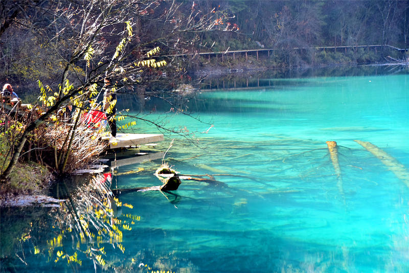 置身于童话中的九寨沟,畅游人间仙境黄龙九寨沟七日游