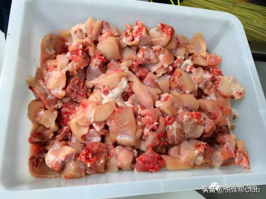 连成都人都赞不绝口的兔头空降安顺!这些兔兔还是安顺人自家养的