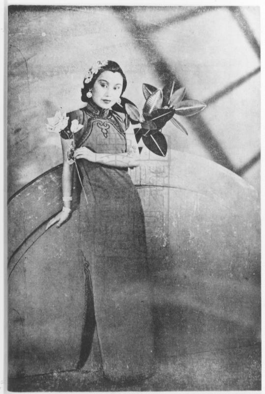 五十年代火爆女星,五十年代最红女星