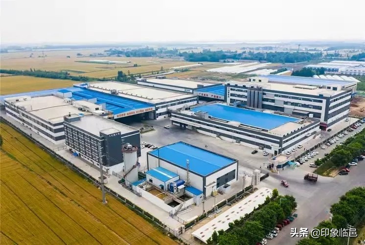 我叫临邑,这是我的新简历