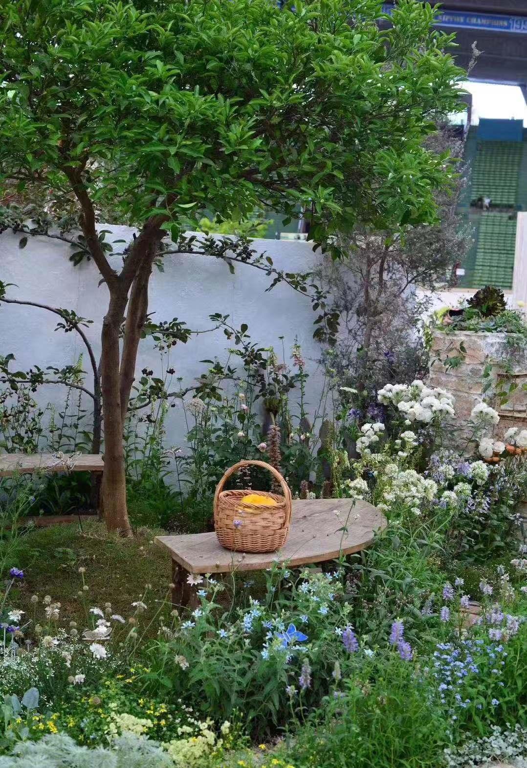 教你种又简单又好种的植物,如何简单种出简单好养小植物