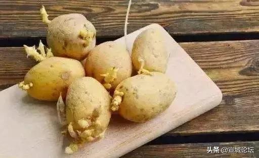 比毒蛇还毒的虫子,比毒蛇还要毒的东西