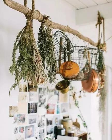 她用这种高颜值的干花装饰家里，隔壁邻居都惊叹不已