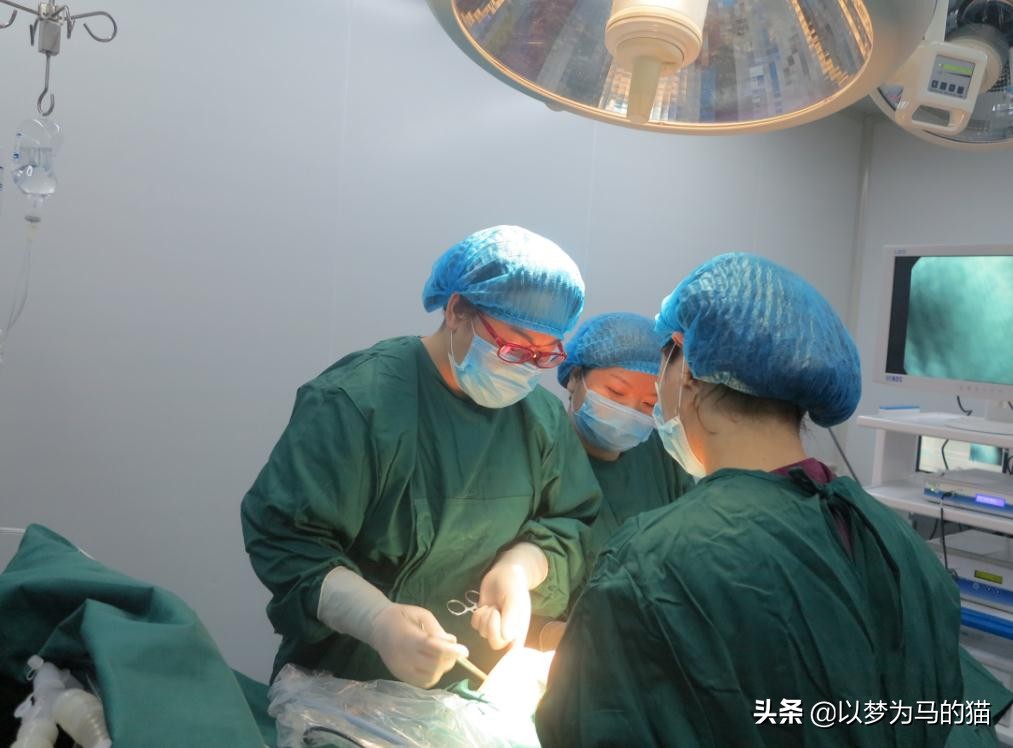 适合女生的四个医学专业,这几个专业在专科优势太大了