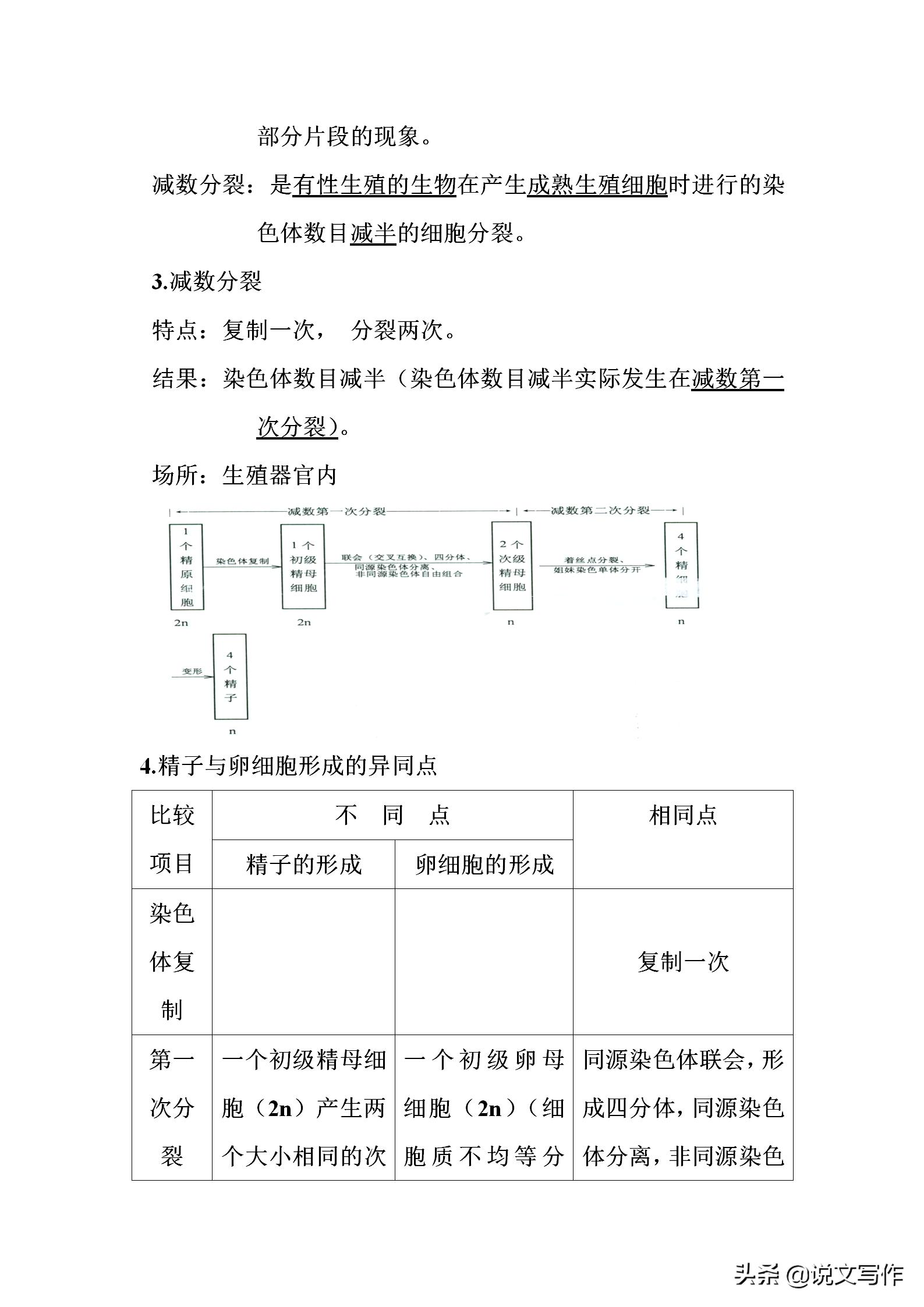 高中生物必修二减数分裂有丝分裂,人教版高中生物必修二课本电子版