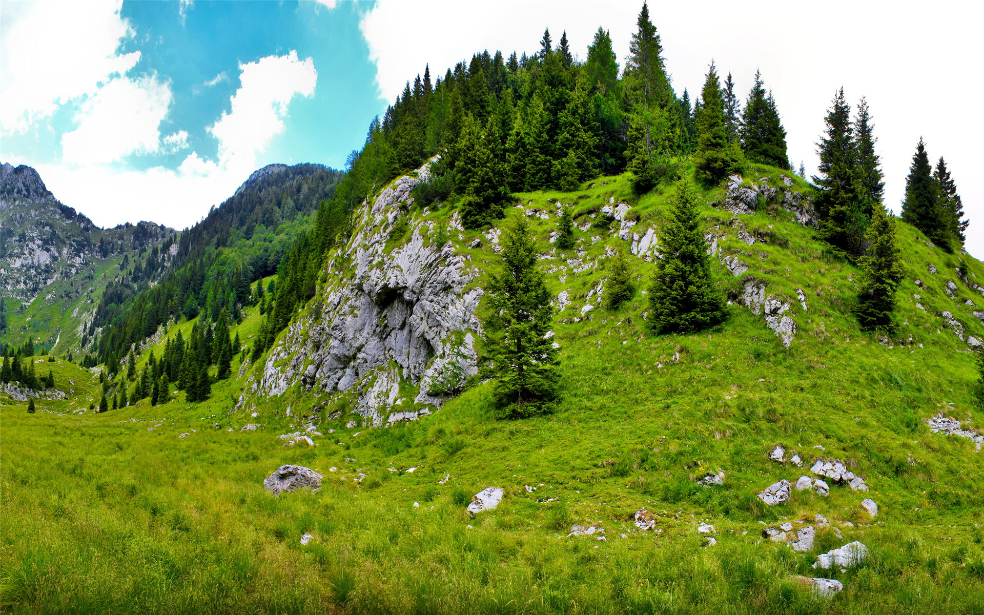 最美的护眼桌面壁纸,超清晰2340x1080曲面屏护眼壁纸