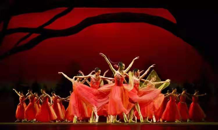 辽芭附中芭蕾舞在全国能排第一,辽芭附近芭蕾舞学校