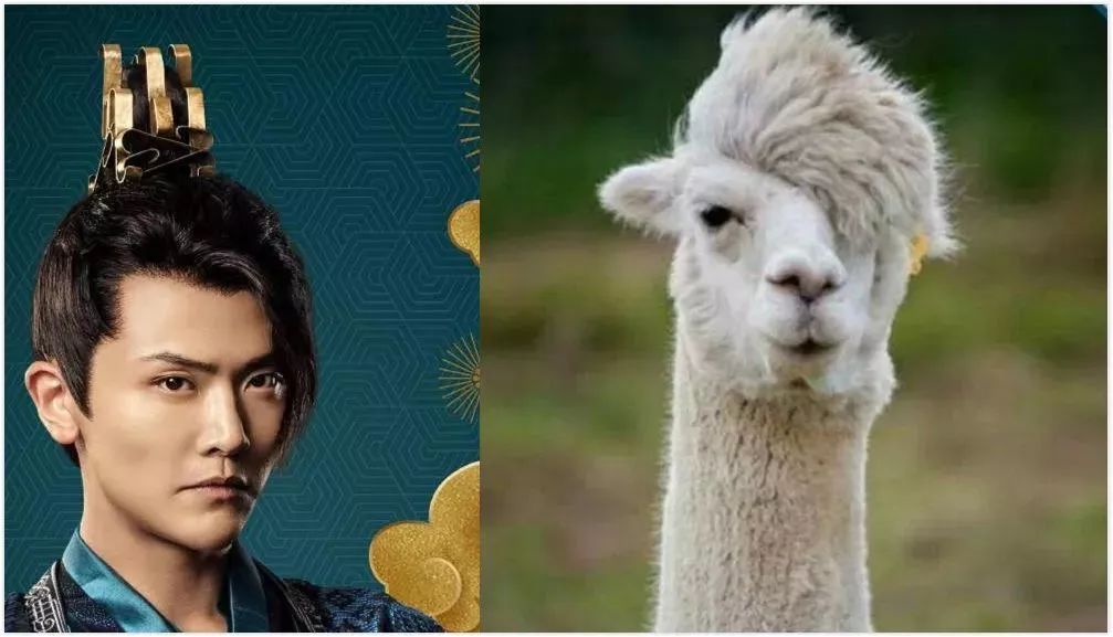 庆余年范家儿女特辑,庆余年范家三人