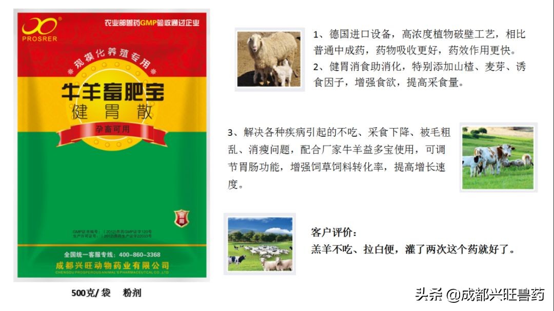 牛羊育肥怎么选牛羊,牛羊育肥最佳方法