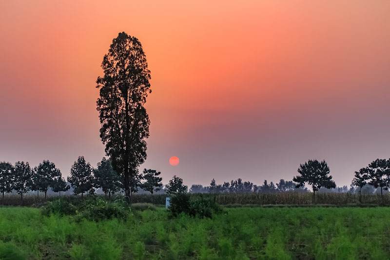 中国孝文化绘画,全国唯一一个以孝命名的地级市