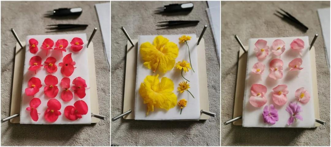 周末在家有什么好玩的亲子游戏,在家也能玩的亲子游戏6-7