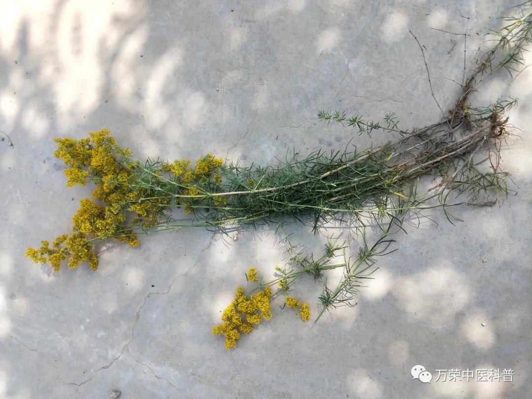 跟我回家在线免费看,跟我回家免费看