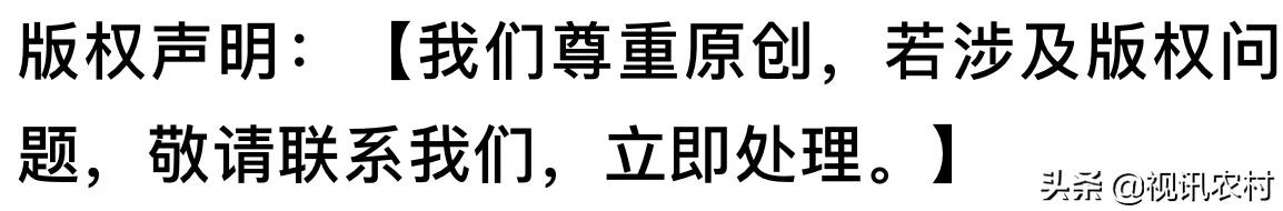 临沂客运总站最新消息,临沂客运总站最新时刻表