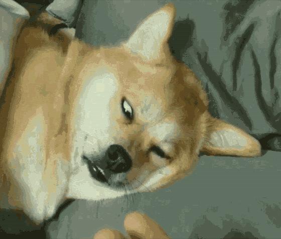 推荐几个少女心爆棚的软件,保证让你爱不释手的软件