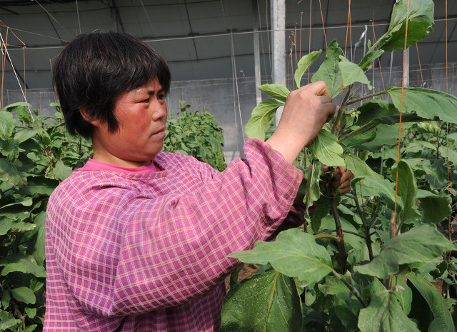 嫂子被哥哥打,嫂子被小叔子打