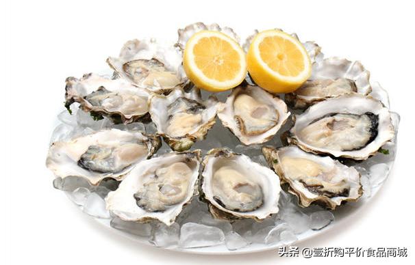 现在的牡蛎可以吃吗,牡蛎可以生吃的有哪些