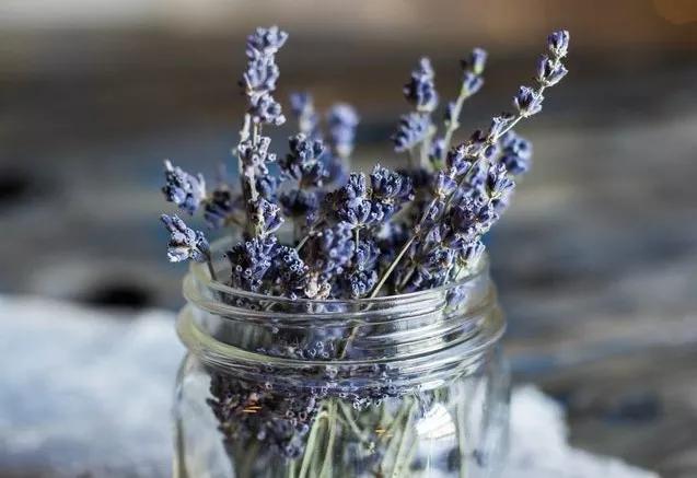 天一热口干,上火胃胀喝什么茶