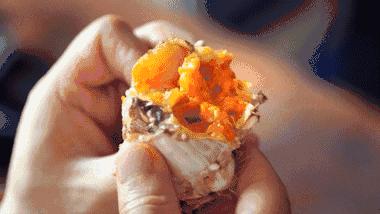 天冷了螃蟹也肥了,螃蟹肥了的视频