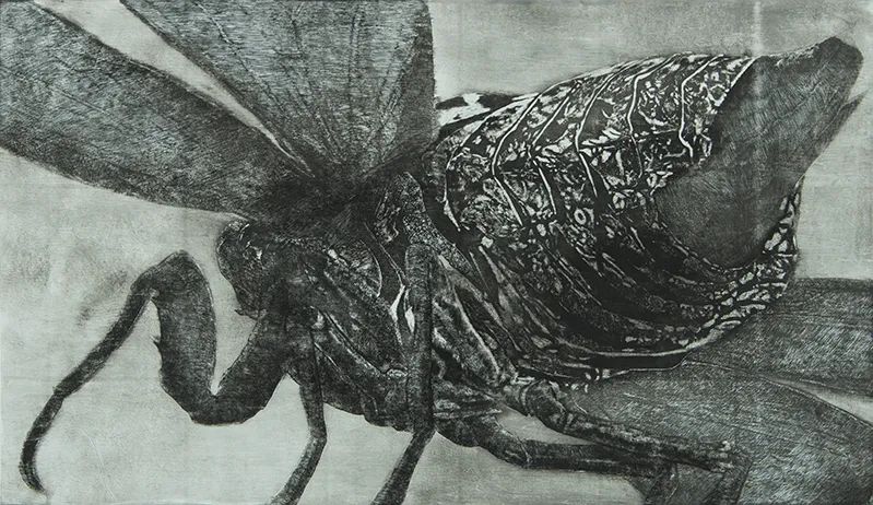 日本艺术留学毕业展,世界顶尖美院作品