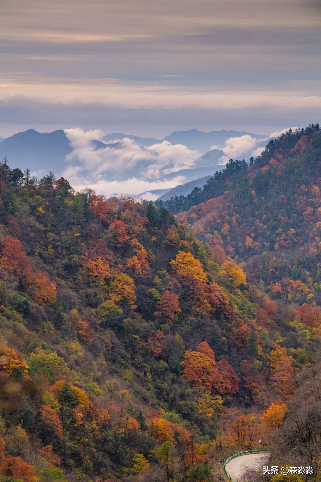 秦岭赏秋怎么玩才好玩呢,大秦岭山旅游攻略