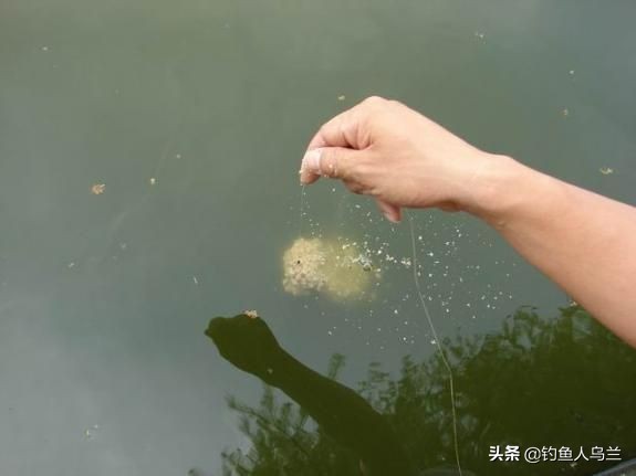 包食钓法的饵芯制作,包食钓法窝料