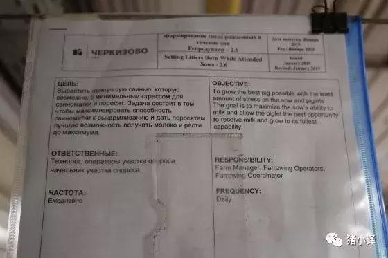 看国外防非瘟—俄罗斯农场,II:Lipetsk8,一个现代化设施的猪场