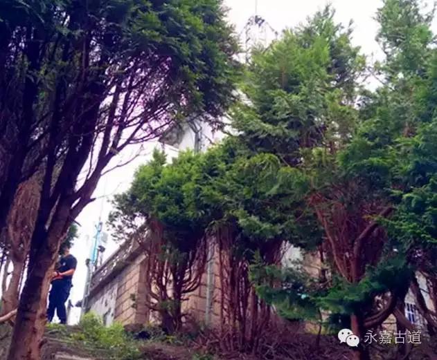 温州四海尖上观日出，初阳如血，美轮美奂，绝无仅有