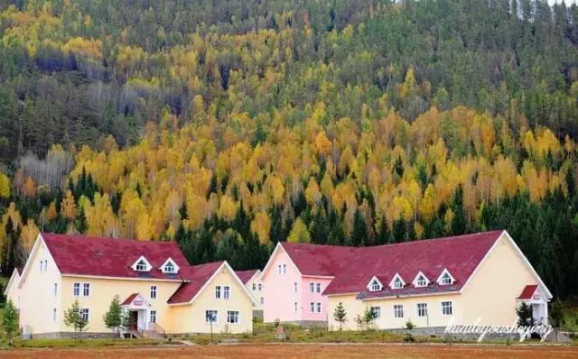 中国国家地理十大最美秋色,寻找中国最美自驾游