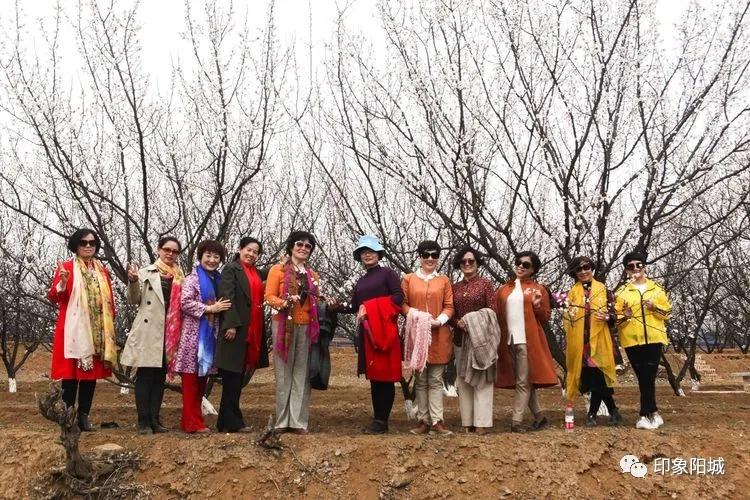 晋城哪里可以春游,晋城附近春游景点