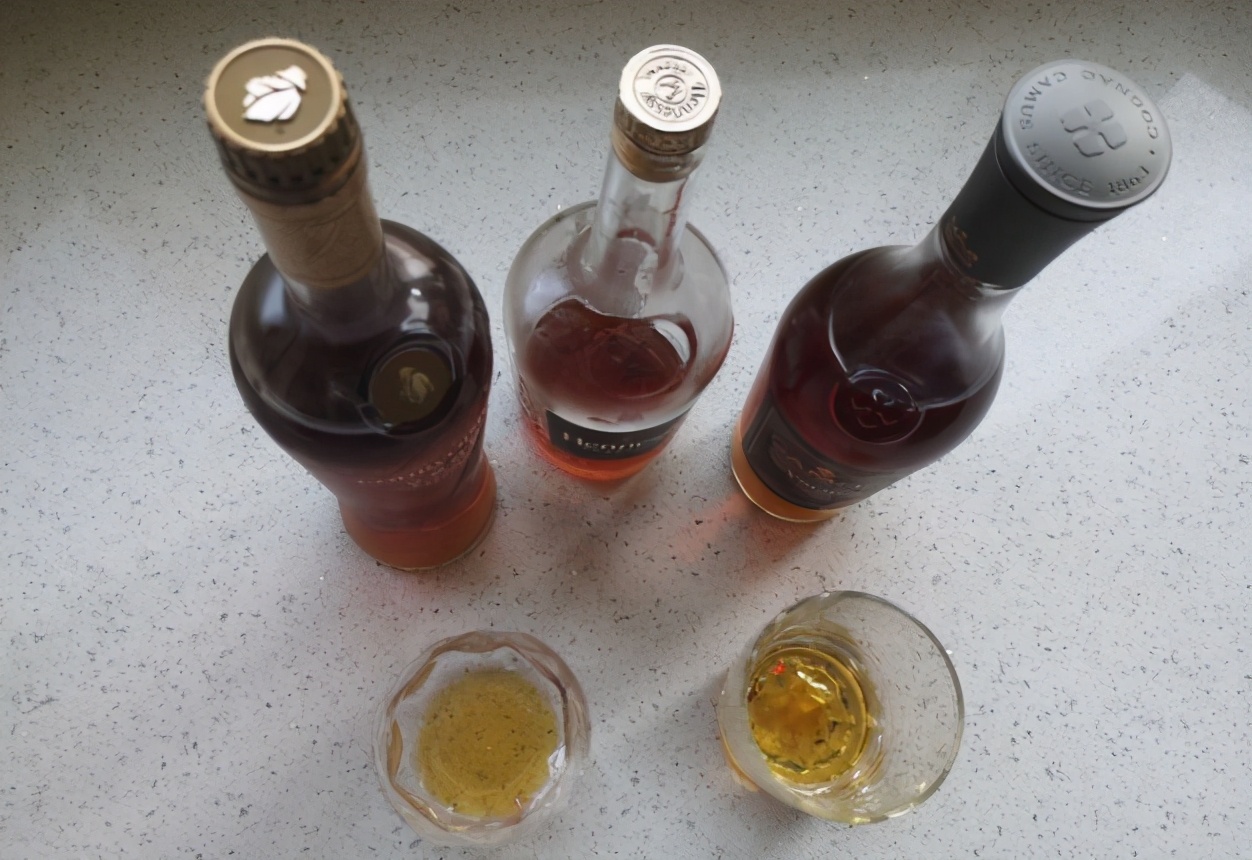 如何品白兰地,白兰地如何喝才好喝