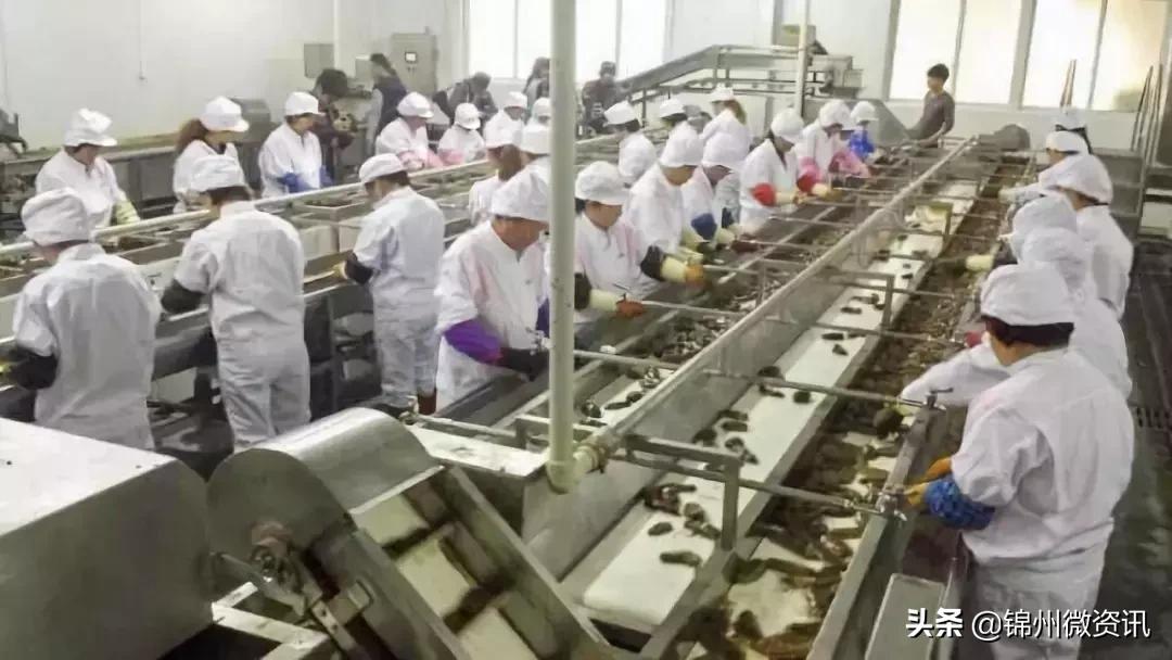 凌海市能成为锦州的一个区吗,锦州市凌海市怎么样