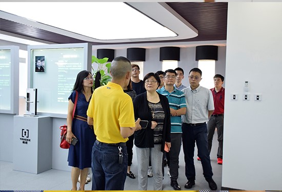 中国智能锁深度分析,杨格智能锁是什么样的